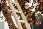 Enkele Bouwladder 5,00m 17 Sporten Hout - dbda500b-6907-48a8-982b-e3dff7453dcb