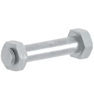 Bout met moer M12x60 mm speciaal staal