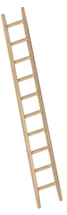 Enkele bouwladder