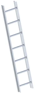 Echelle De Toit Perm.