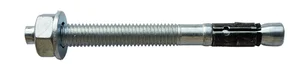 Doorsteek-anker M10