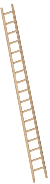 Enkele Bouwladder 5,00m 17 Sporten Hout - 4baabd85-c803-4956-a057-dce9ca135d1e