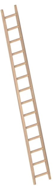 Enkele Bouwladder 4,00m 14 Sporten Hout - ad66ee24-f2af-4b19-80fb-d36a3f54253c
