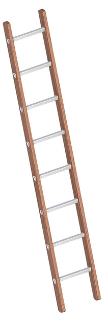 Enkele Bouwladder 2,40m Hout met 8 Aluminium Sporten - e56391ee-6b19-4ac2-b010-4487c5c87dae
