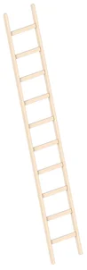 Enkele Houten Ladder 10 Sporten – 3,00 Meter