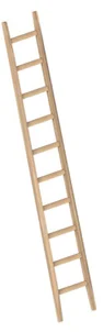 Enkele bouwladder