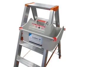 Topic-Boite D'Echelle