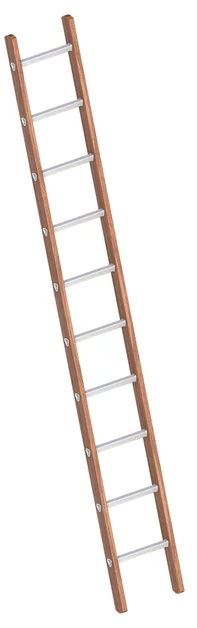 Enkele Bouwladder 2,95m Hout met 10 Aluminium Sporten - 0894820f-8c47-4d37-b8d2-4f216d08d71e