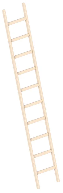 Enkele Ladder 2,99m 10 Sporten Hout - 23b41769-8fbf-49c7-bfe0-997dadd1b67a