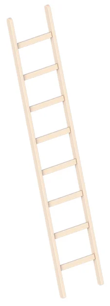Enkele Ladder 2,45m 8 Sporten Hout - 3afed515-22eb-4222-8400-a93fb762b76b