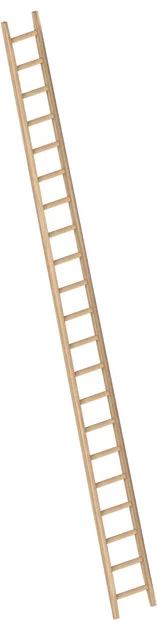 Enkele Bouwladder 6,00m 21 Sporten Hout - 757891b3-aa5a-49fe-8670-ee1d45c864f0