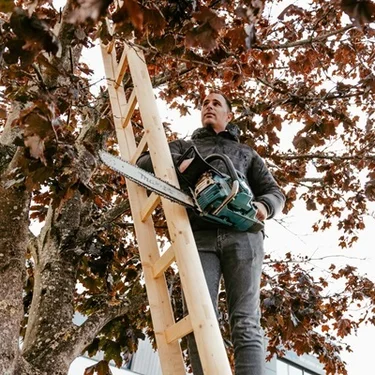 Enkele bouwladder hout
